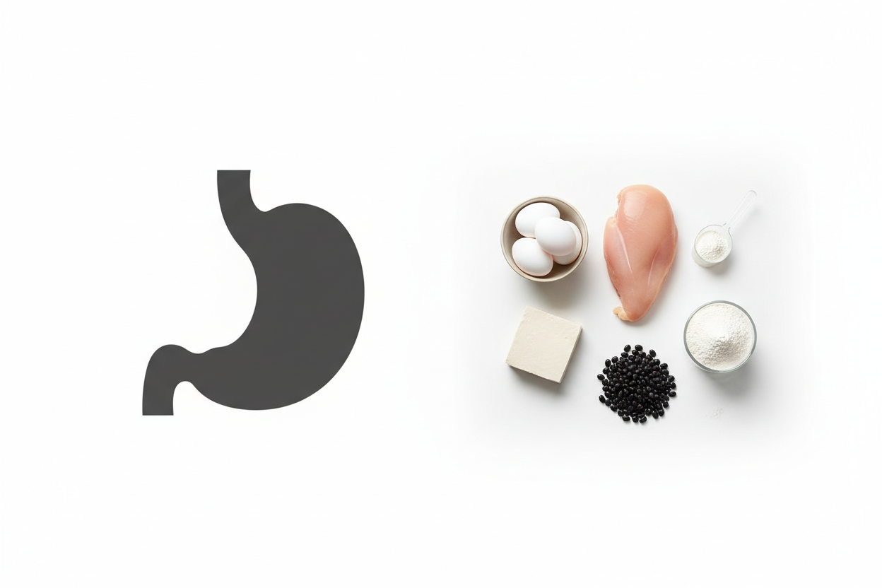 why protein powder causes bloating concept with simple and complex protein ingredients on white background