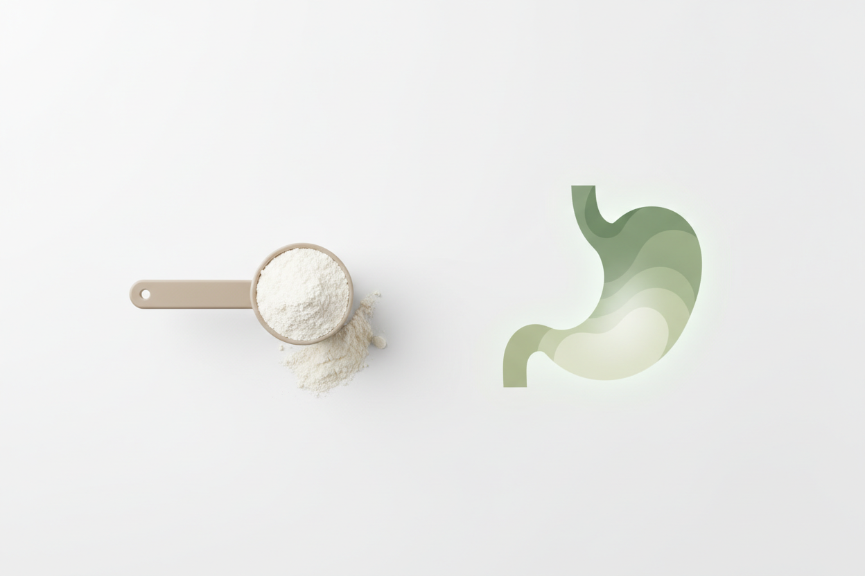 best protein powder for easier digestion comparison of simple protein formula and digestion concept on white background