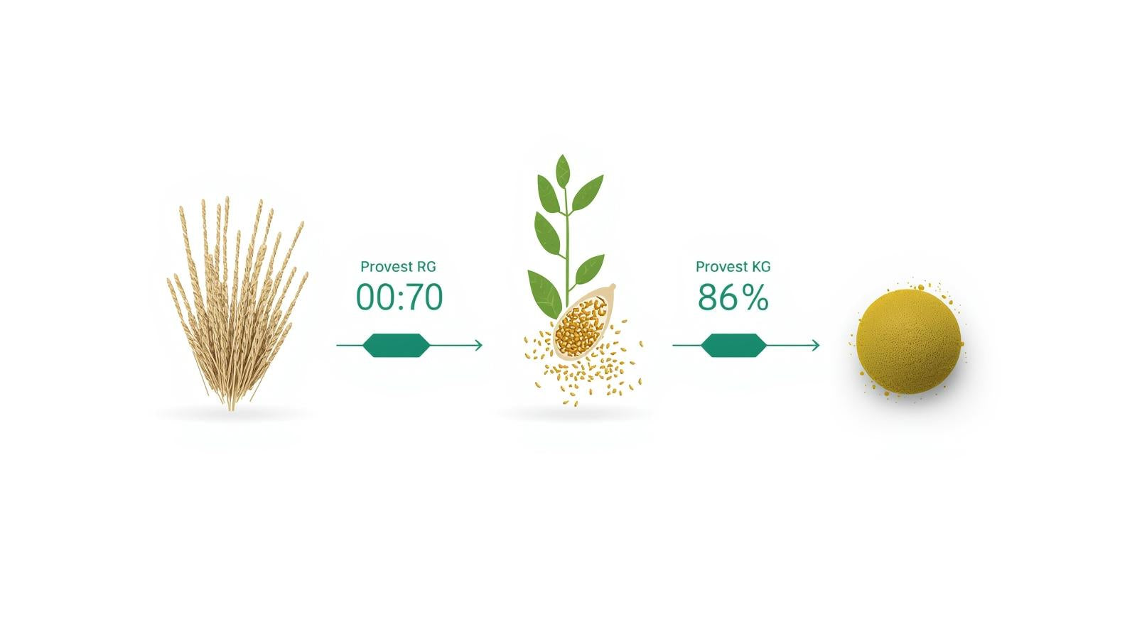 illustration explaining protein ingredient purity and concentration