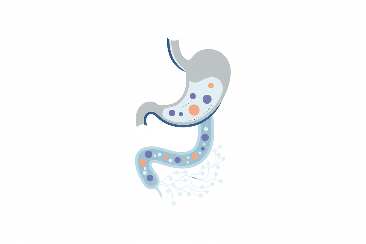 illustration showing protein digestion problems concept