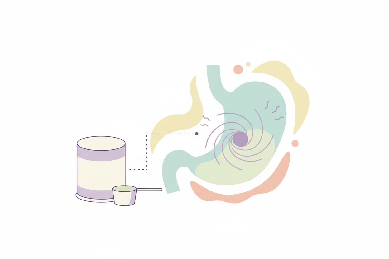 illustration showing protein powder and stomach sensitivity