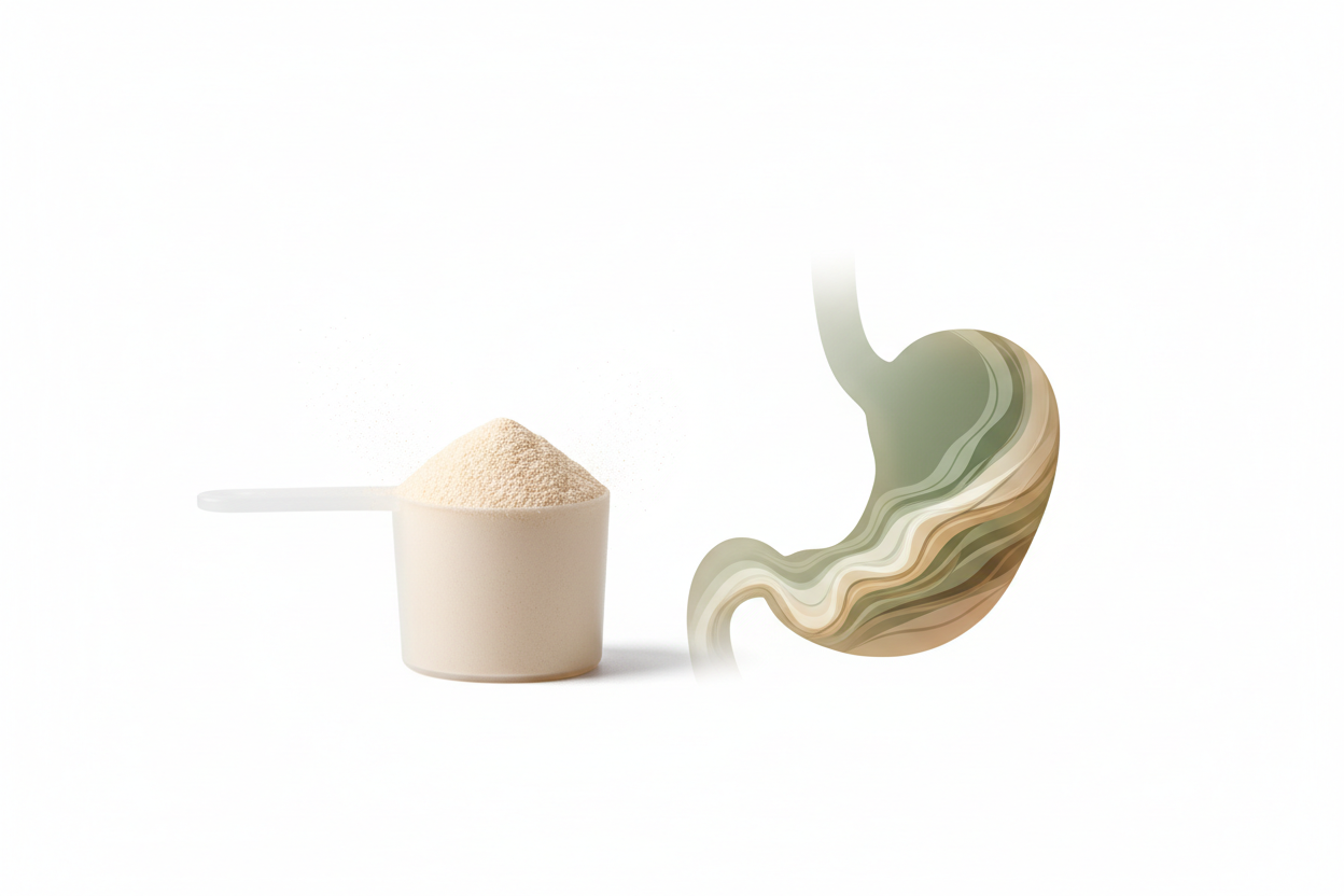 best protein powder for sensitive stomachs comparison of simple protein formula and digestion concept on white background